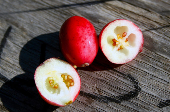 picture of a cranberry sliced open to show seeds and chambers