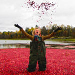 woman standing in johnston's cranberries enthusiasticallyl tossing them into the air