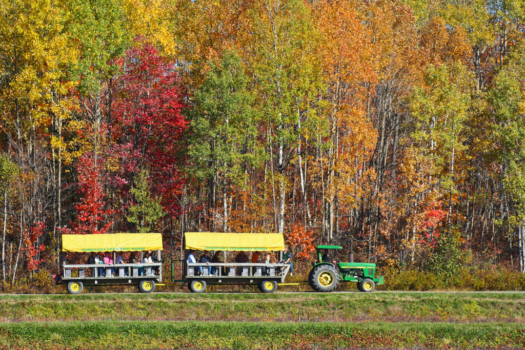 tractor pulled wagon against fall trees