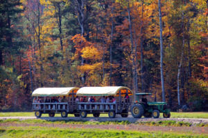 tractor pulled wagon against fall trees
