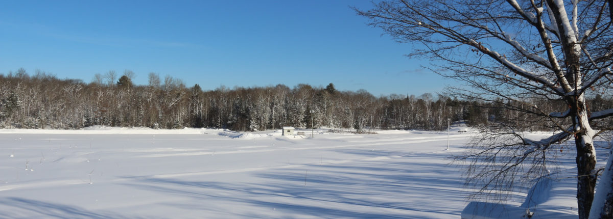 image of the old marsh and bridge on a sunny winter day