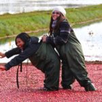 one smiling girl holding another laughing girl by the hipwaders preventing her from falling in floating cranberries