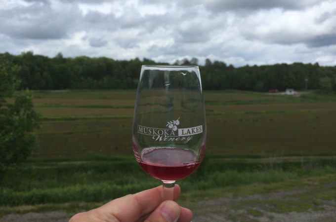 wine in Muskoka Lakes Winery glass being held up in front of the old marsh