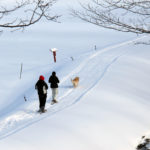 two girls and a dog snowshoeing on a trail beside a stream