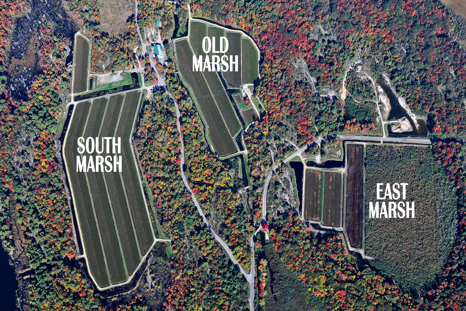 Aerial of Johnston's Cranberry Marsh Muskoka Lakes Farm & Winery