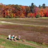 family with their dog hiking around johnston's old marsh with burgundy cranberry vines and fall trees in the background