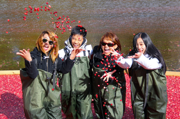 four smiling people tossing cranberries in the air while standing in floating cranberries