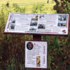sign about ontario cranberry history