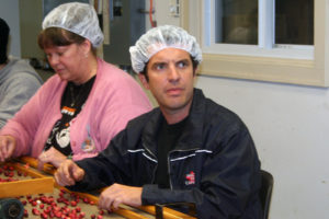 rick mercer sorting cranberries in the mill room at Johnston's Cranberry Marsh