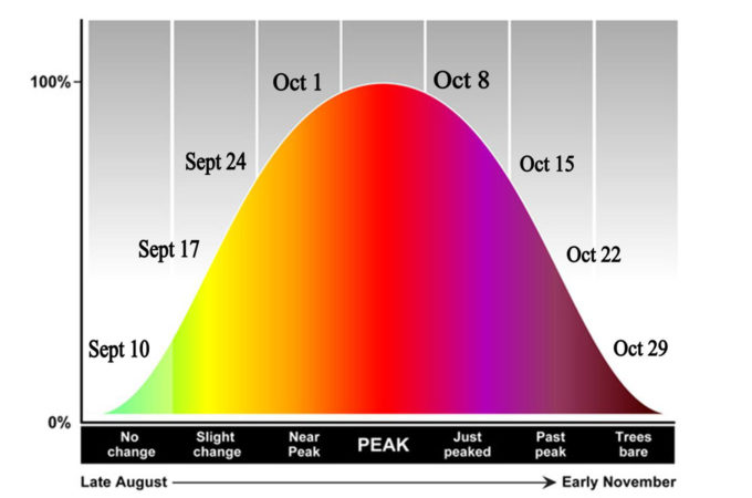 diagram predicting the timing of changing fall colours