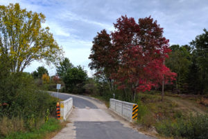 red maple tree changing from green to red beside a narrow bridge