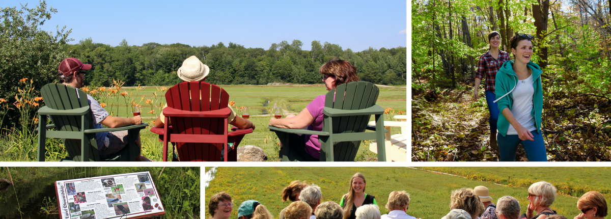 montage of people in muskoka chairs, hiking, taking a tour and looking at trail signs