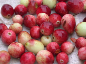 White, pink and light coloured berries