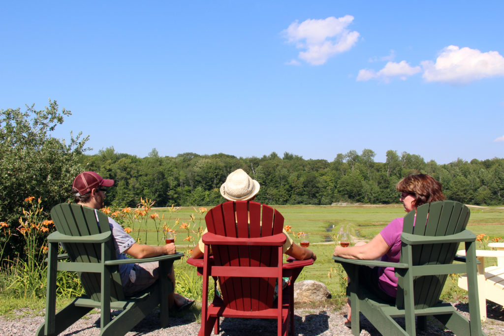 People in muskoka chairs over looking cranberry marsh with a glass of wine