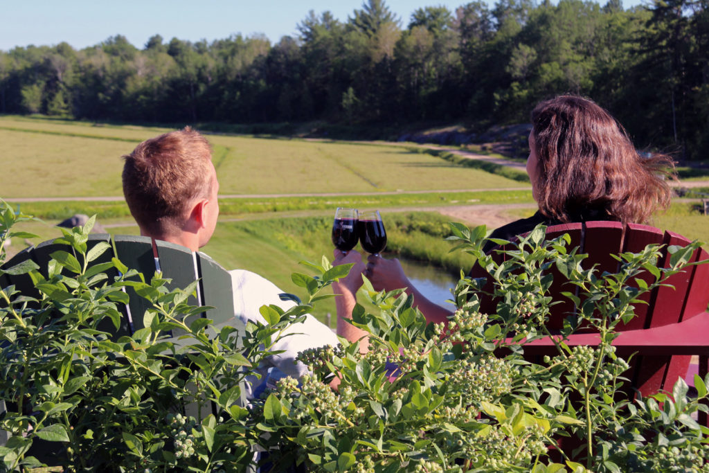 couple in Muskoka chairs drinking blueberry wine overlooking blueberry fields