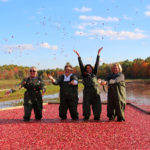 four women standing in floating cranberries and throwing them in the air