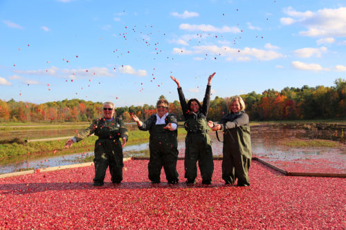 four women standing in floating cranberries and throwing them in the air