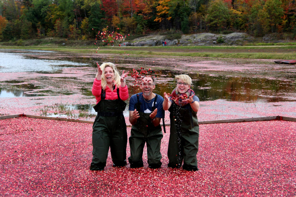 cranberry family Muskoka Lakes Farm & Winery