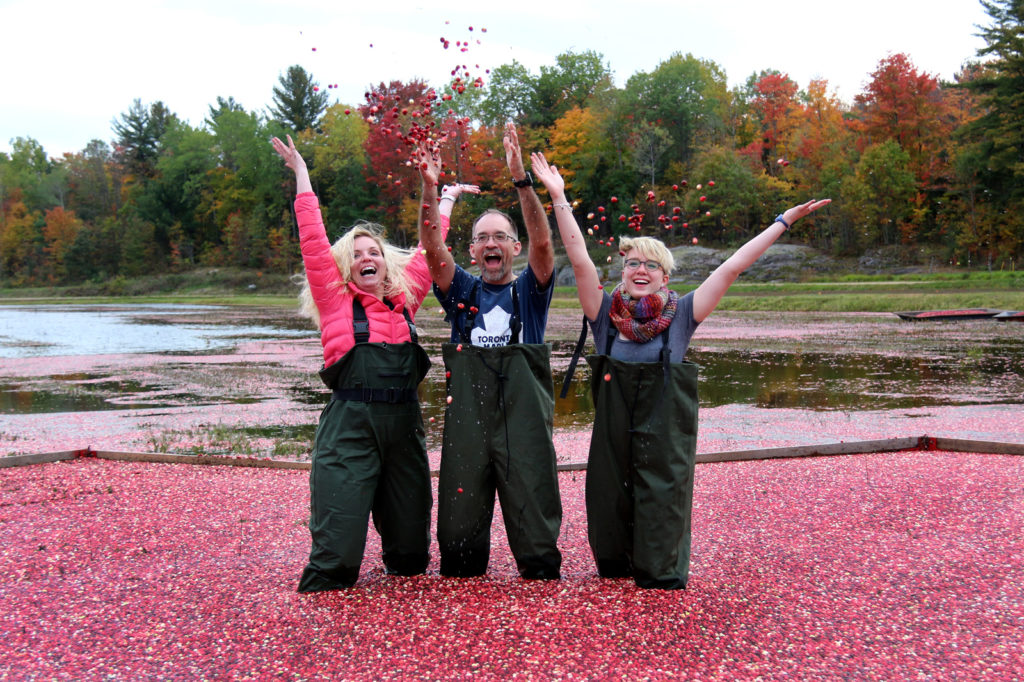 parents and daughter standing in floating cranberries laughing and throwing cranberries in the air