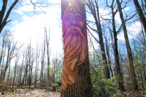 face carved into a tree