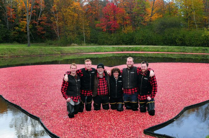 johnston family in cranberries at muskoka lakes farm & winery