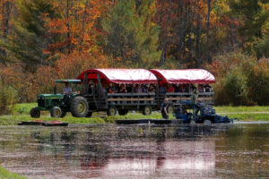 tractor pulled wagon tour with a cranberry picker in the foreground and fall trees in background