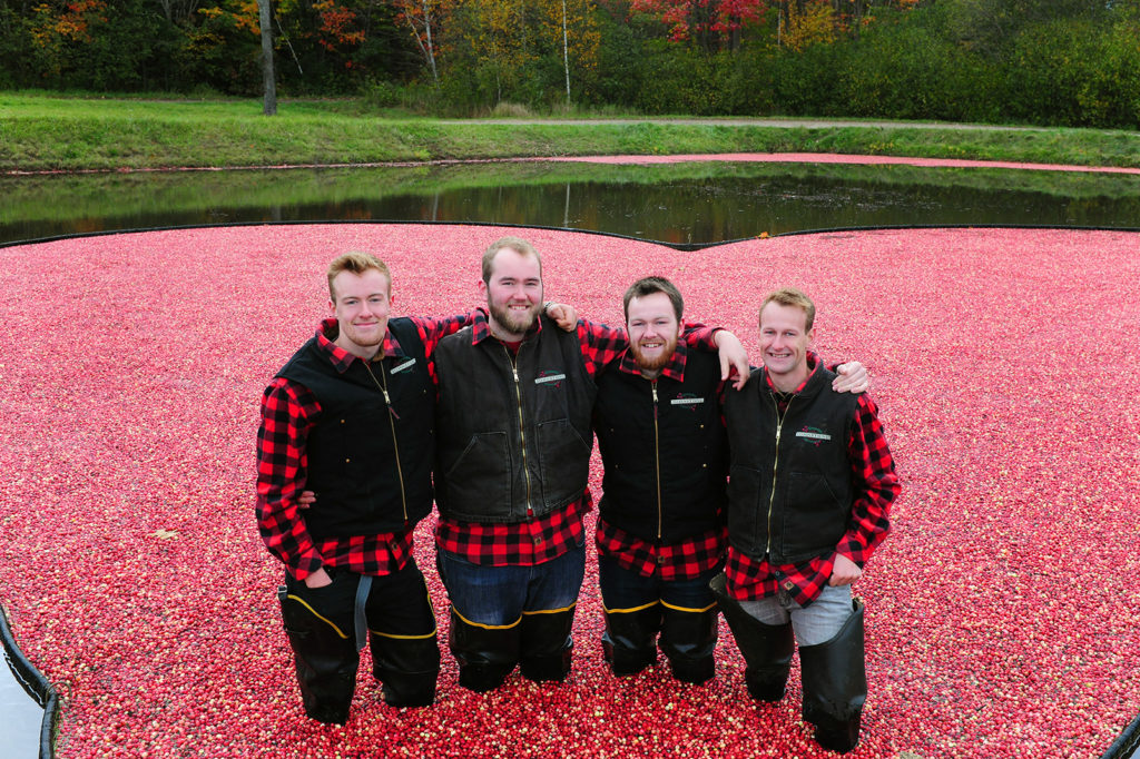 four johnston brothers in the cranberry plunge at muskoka lakes farm and winery