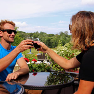couple toasting with wine glasses on outdoor patio