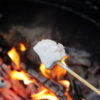 roasting a marshmallow over a fire