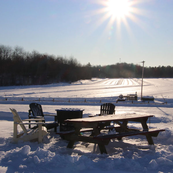 fire pit with muskoka chairs picnic table and sunshine view